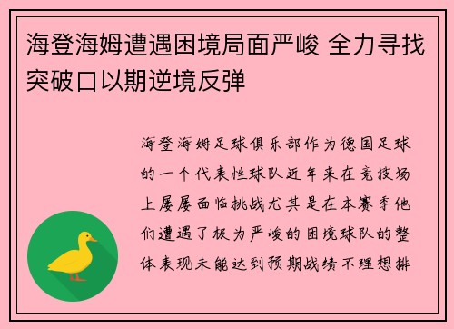 海登海姆遭遇困境局面严峻 全力寻找突破口以期逆境反弹