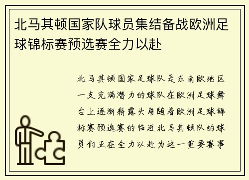 北马其顿国家队球员集结备战欧洲足球锦标赛预选赛全力以赴