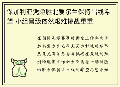 保加利亚凭险胜北爱尔兰保持出线希望 小组晋级依然艰难挑战重重